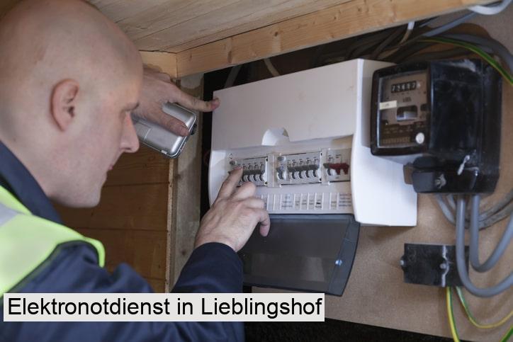 Elektronotdienst in Lieblingshof